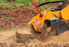 Best Tree Cabling and Bracing  in Fair Oaks, VA