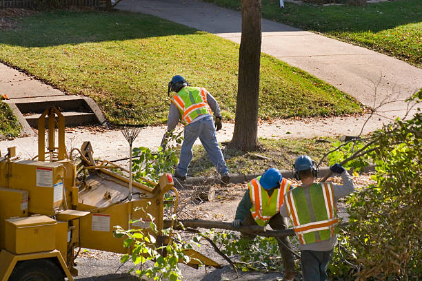 Best Lawn Watering Services  in Fair Oaks, VA