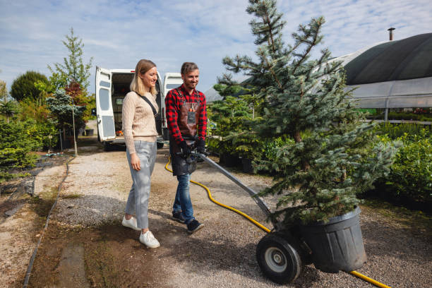 Best Grass Overseeding  in Fair Oaks, VA